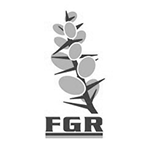 Federación Galega de Rugby